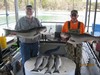 (04/17/2018) - Nice Striped Bass